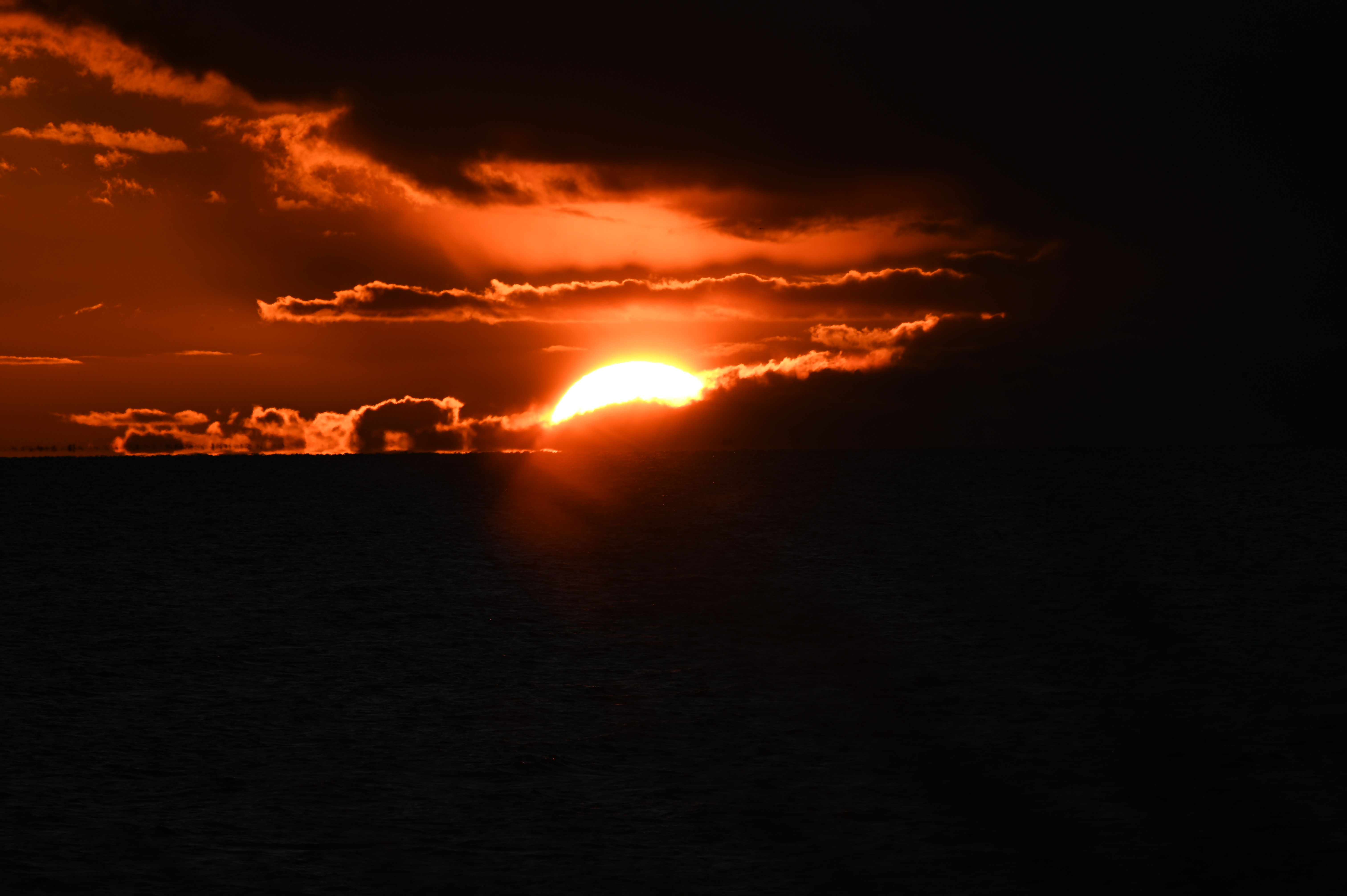 2025/10/18 - walk/DSC_0492.JPG